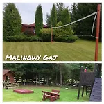 Malinowy Gaj - Z Alpakami I Innymi Zwierzetami *