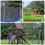 Malinowy Gaj - Z Alpakami I Innymi Zwierzetami Accommodatie bij particulieren