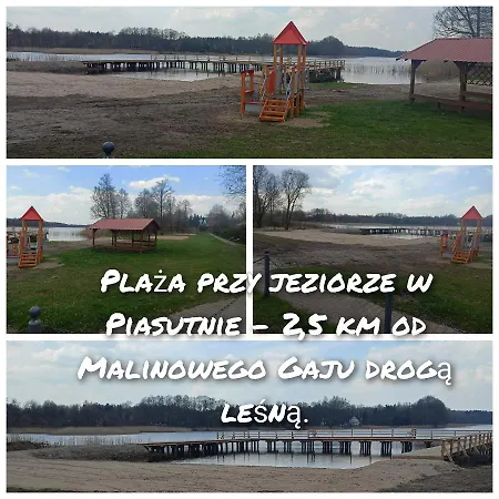 Malinowy Gaj - Z Alpakami I Innymi Zwierzetami Swietajno (Szczytno)