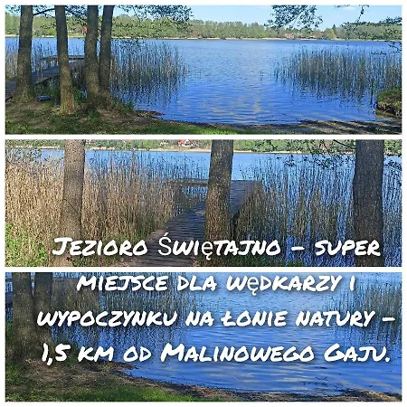 Malinowy Gaj - Z Alpakami I Innymi Zwierzetami * Swietajno (Szczytno)