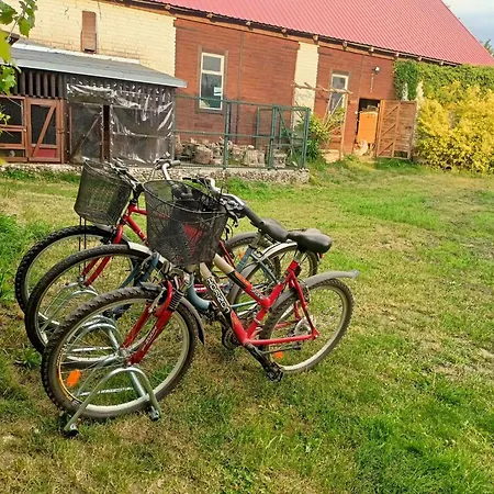 Malinowy Gaj - Z Alpakami I Innymi Zwierzetami * Swietajno (Szczytno)