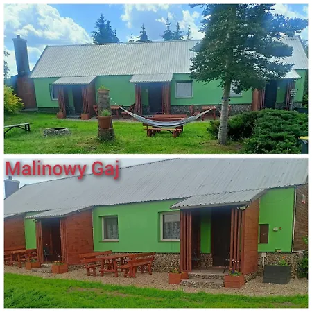 Malinowy Gaj - Z Alpakami I Innymi Zwierzetami * Swietajno (Szczytno)