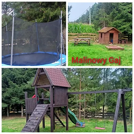 Malinowy Gaj - Z Alpakami I Innymi Zwierzetami Homestay
