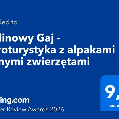 홈스테이 Malinowy Gaj - Z Alpakami I Innymi Zwierzetami *